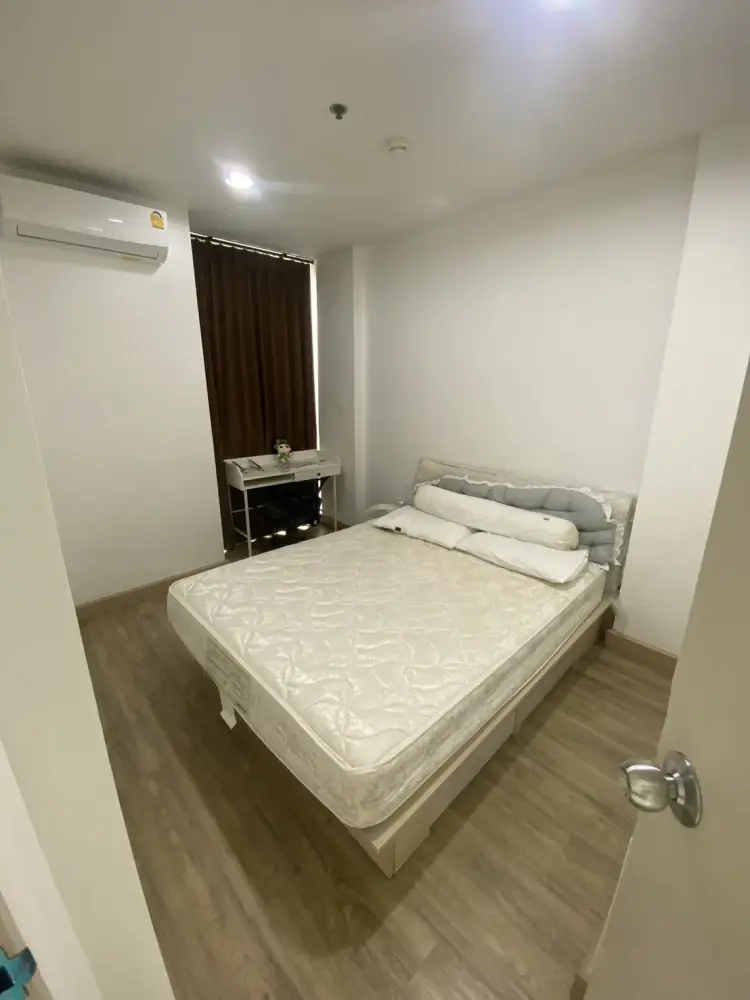 사진 5