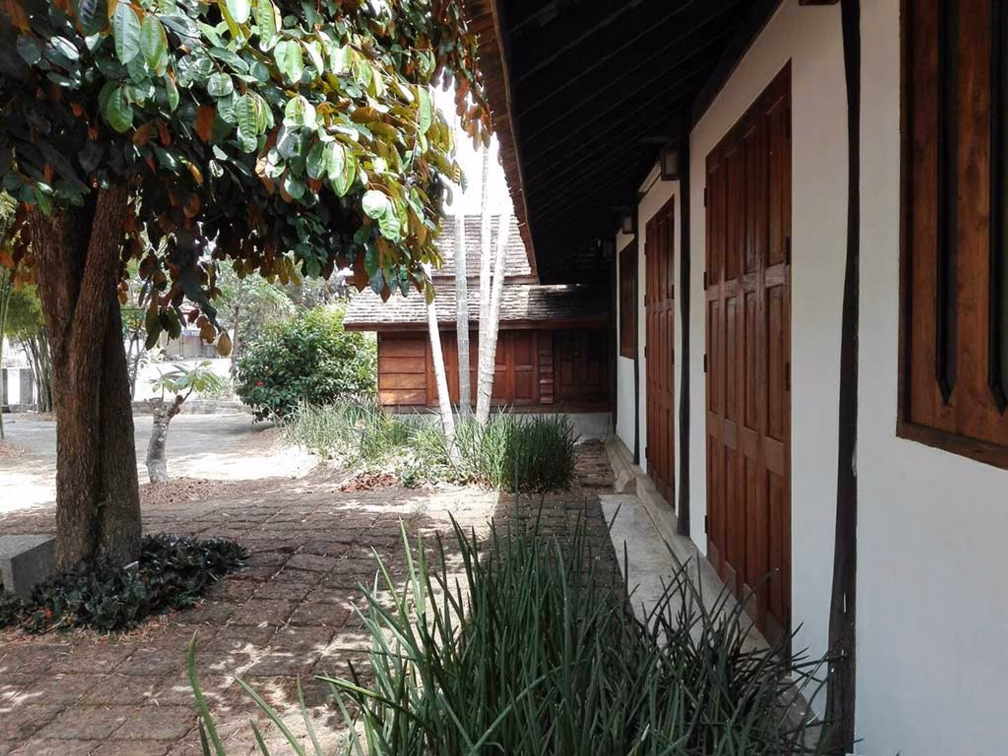 รหัส 1422 บ้านสไตล์รีสอร์ทติดน้ำปิง - Image 5