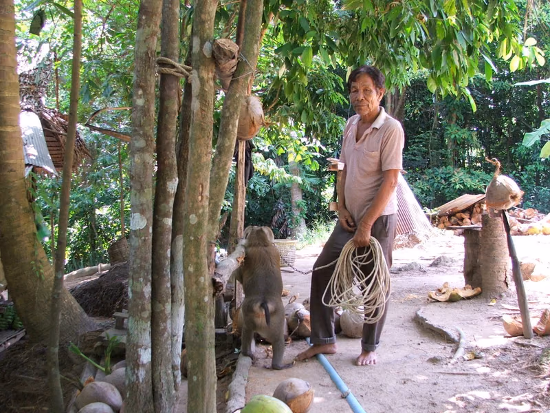 Ko Samui