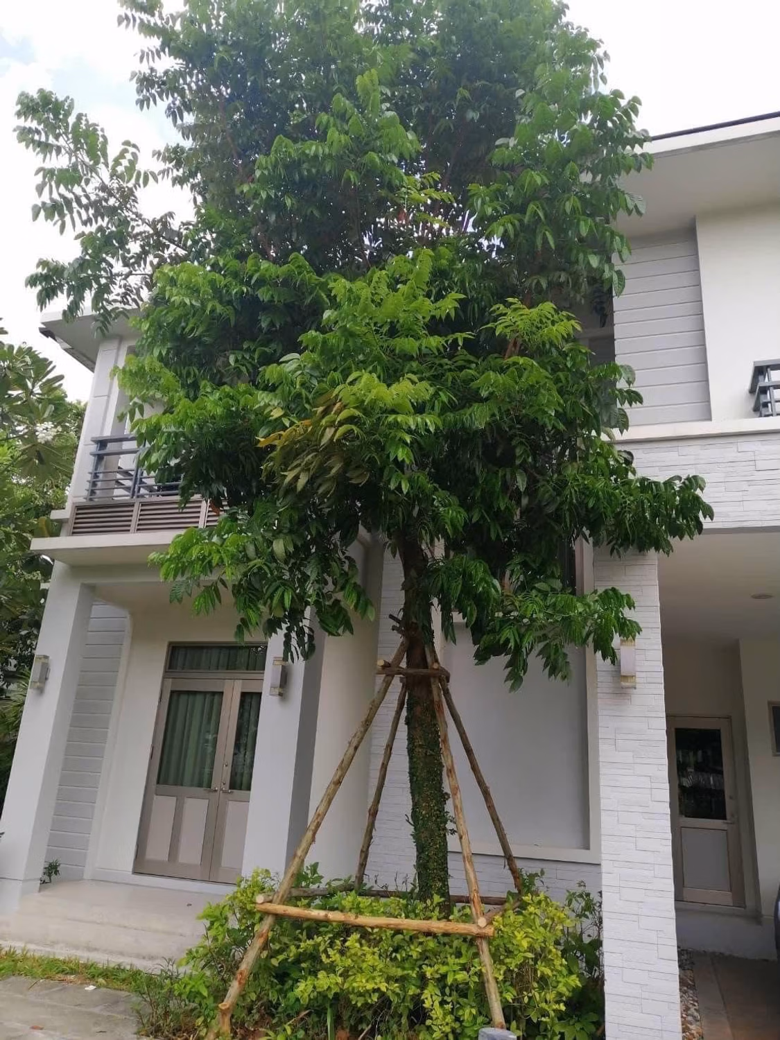 House for Sale at  Perfect Masterpeice Rama 9 - Image 25