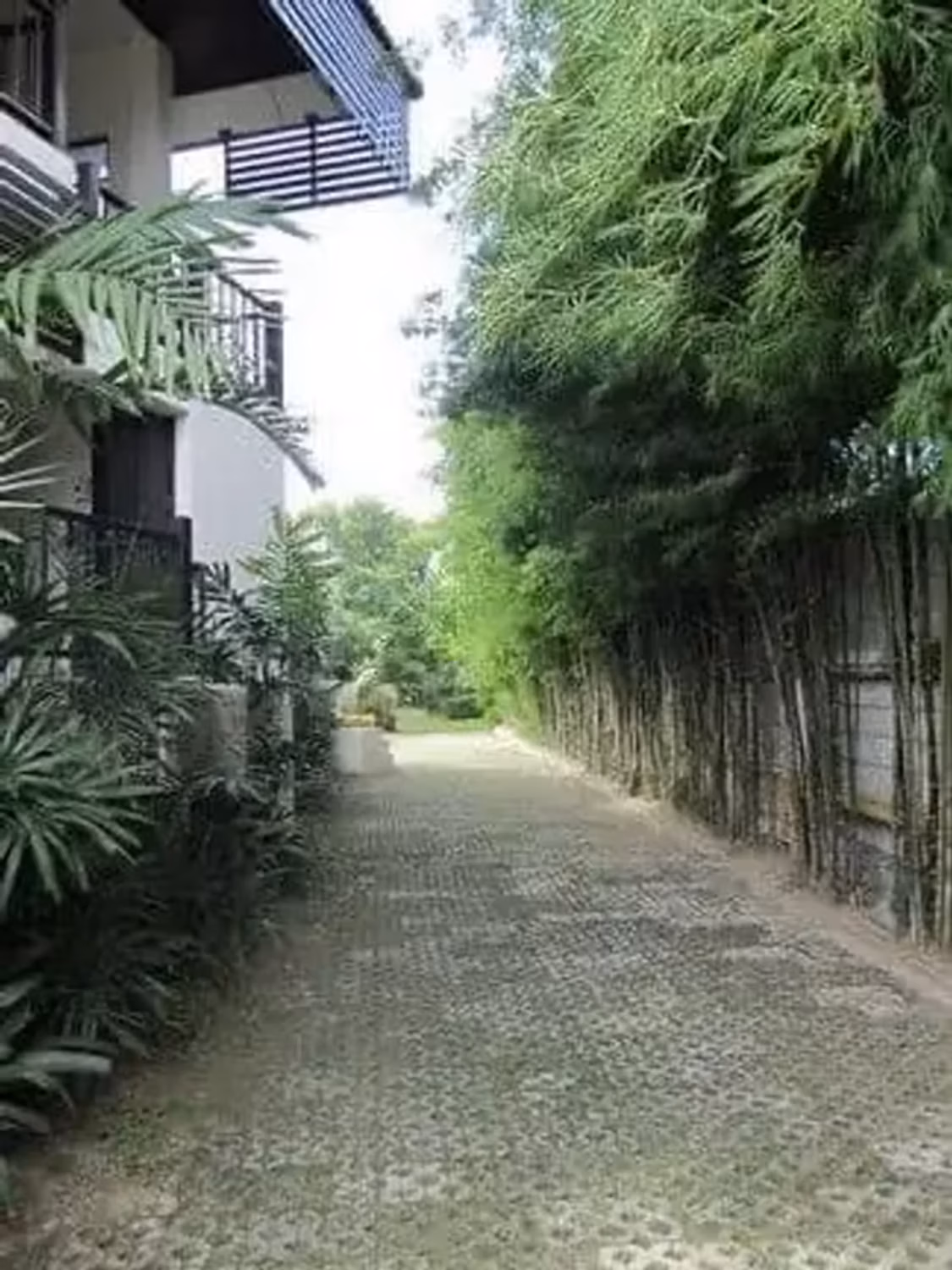 7 Bedroom House - Image 4
