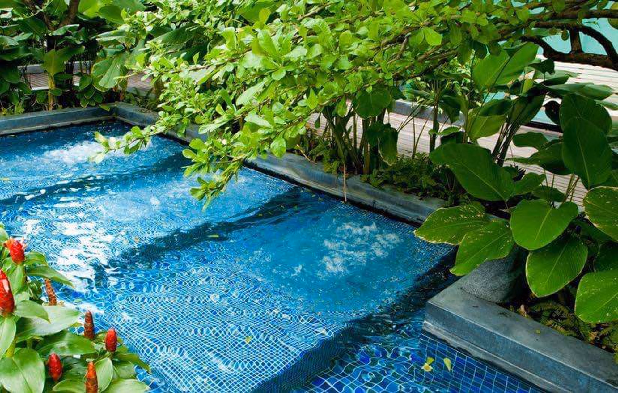 Condo for Rent at Circle Condominium - Image 16