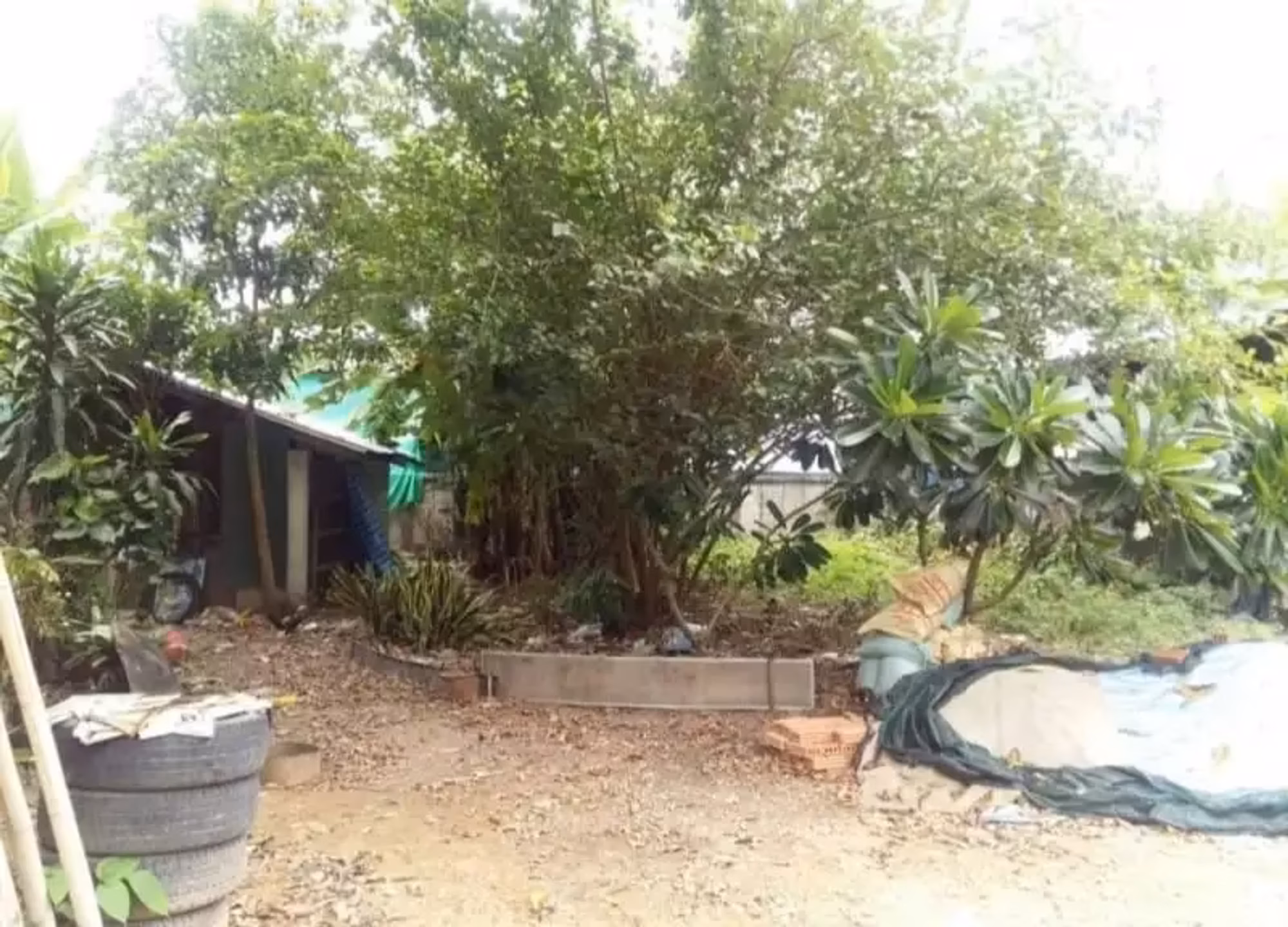 Studio for Sale in  - Image 1
