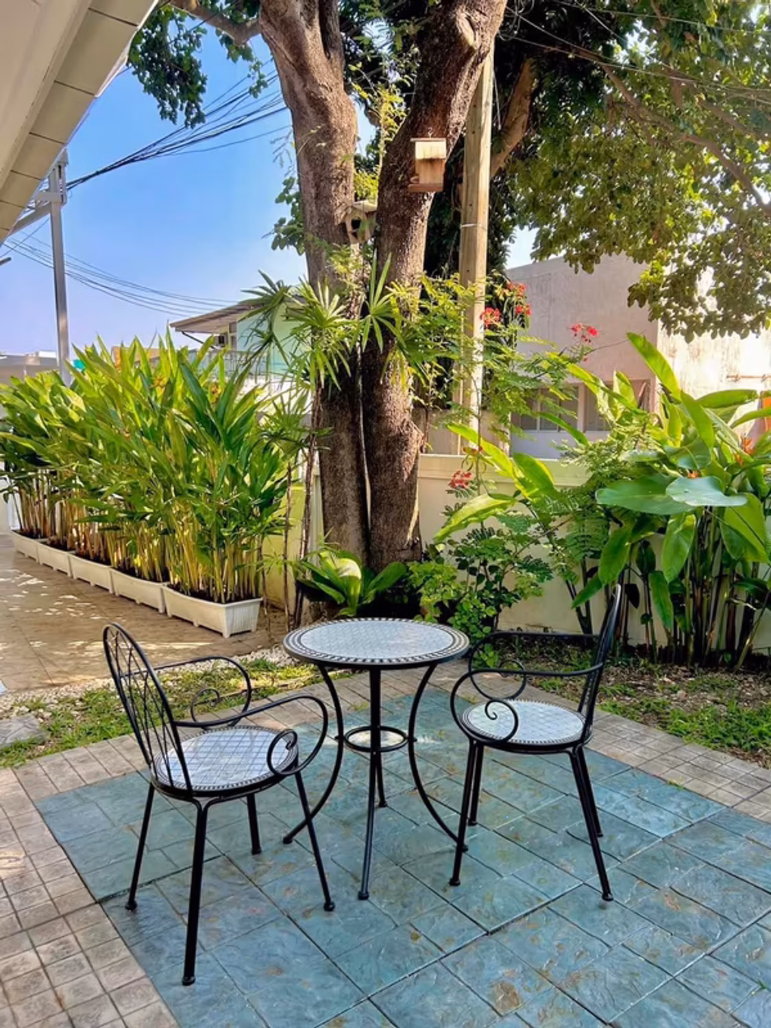 House for Rent in Suthep, Mueang Chiang Mai. - Image 6
