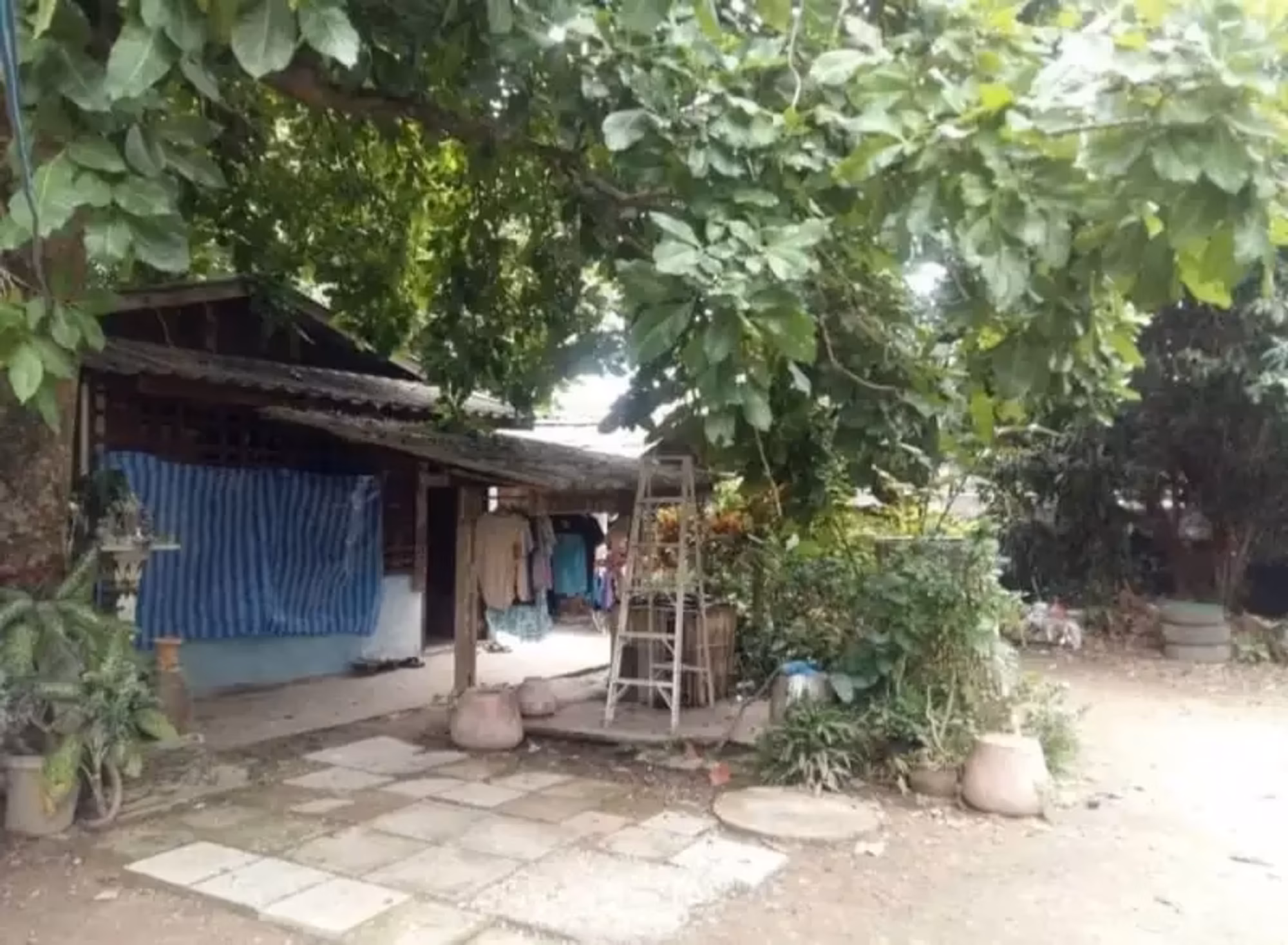 Studio for Sale in  - Image 3