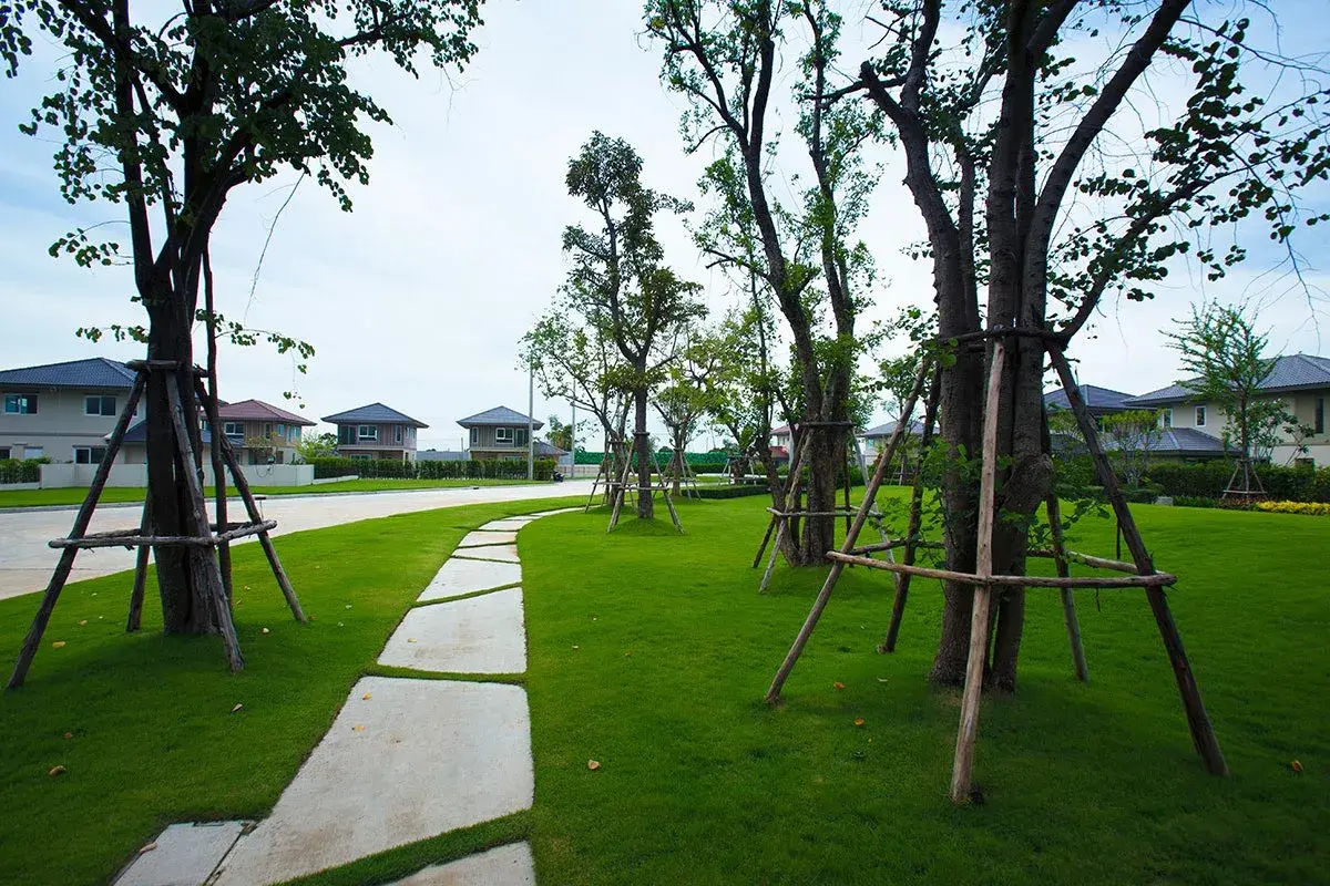 庭園