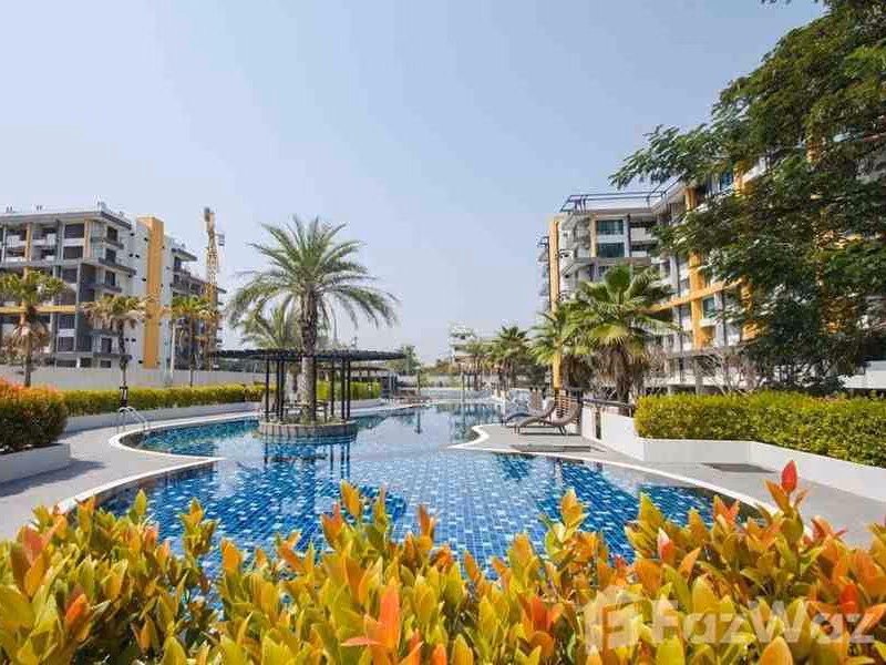 Punna Oasis 1
