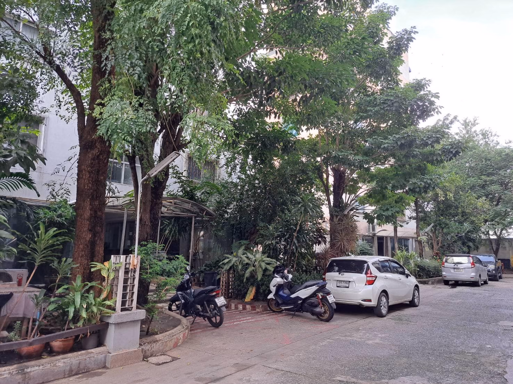 Condo for Rent at Fifty Resident Condominium - Image 11