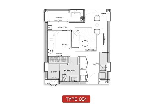 CS1