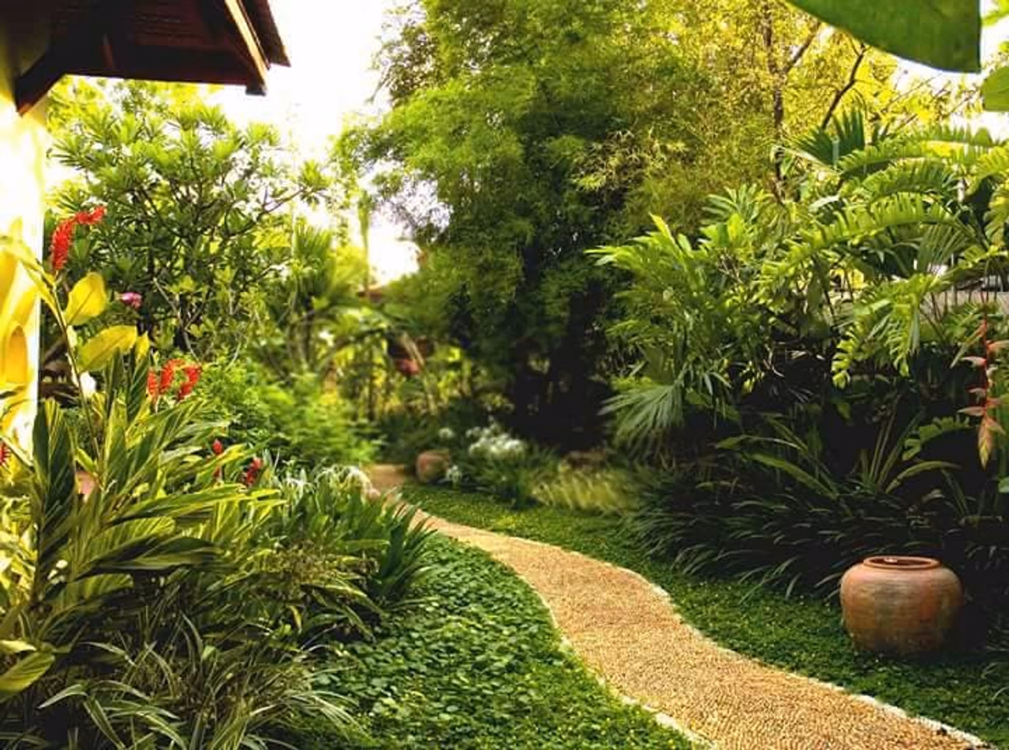 รหัส 1422 บ้านสไตล์รีสอร์ทติดน้ำปิง - Image 15