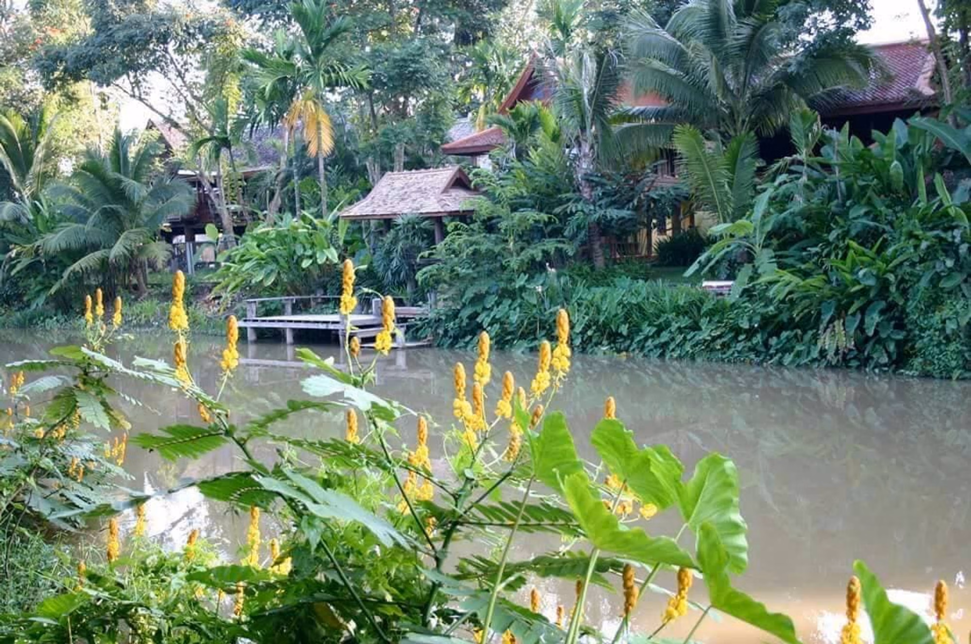รหัส 1422 บ้านสไตล์รีสอร์ทติดน้ำปิง - Image 25