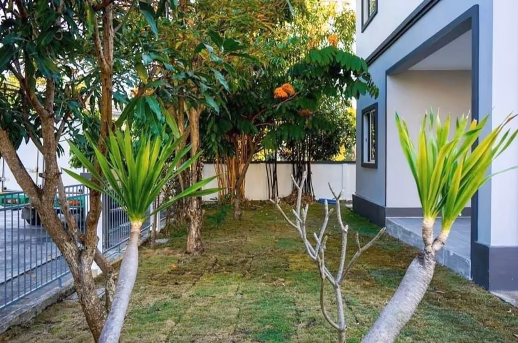 3 Bedroom House - Image 9