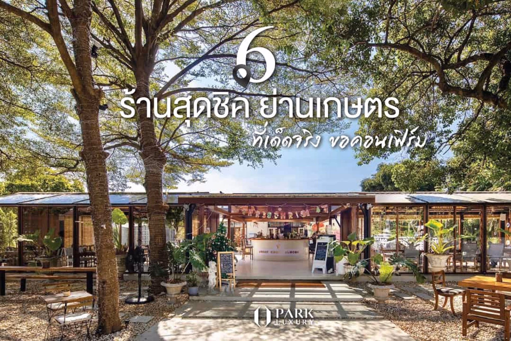 คาเฟ่ คาเฟ่