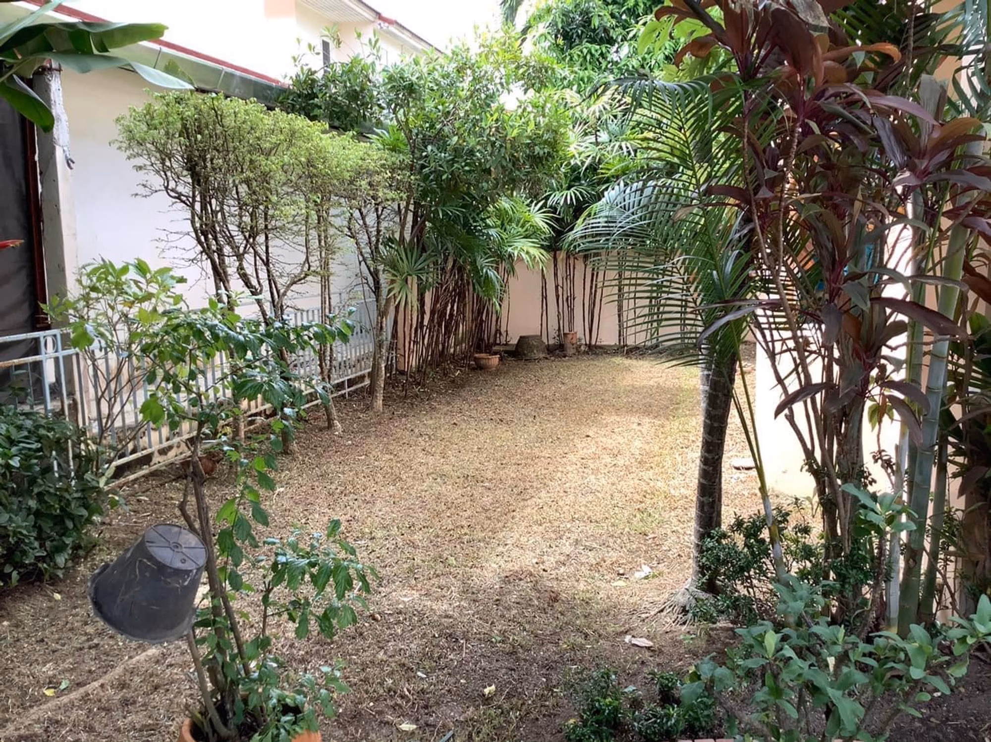 3 Bed House for Rent in San Sai - Image 13