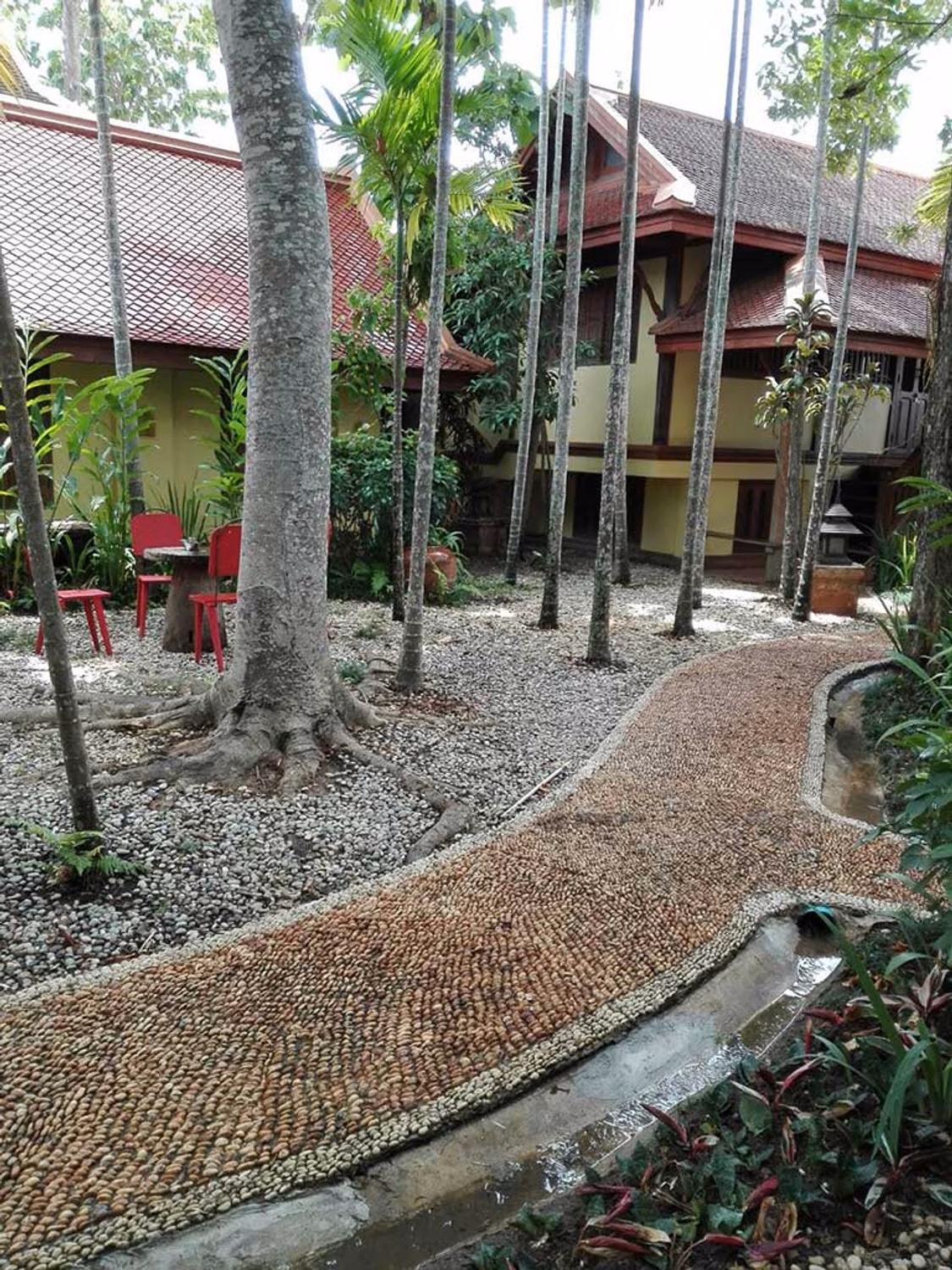 รหัส 1422 บ้านสไตล์รีสอร์ทติดน้ำปิง - Image 14