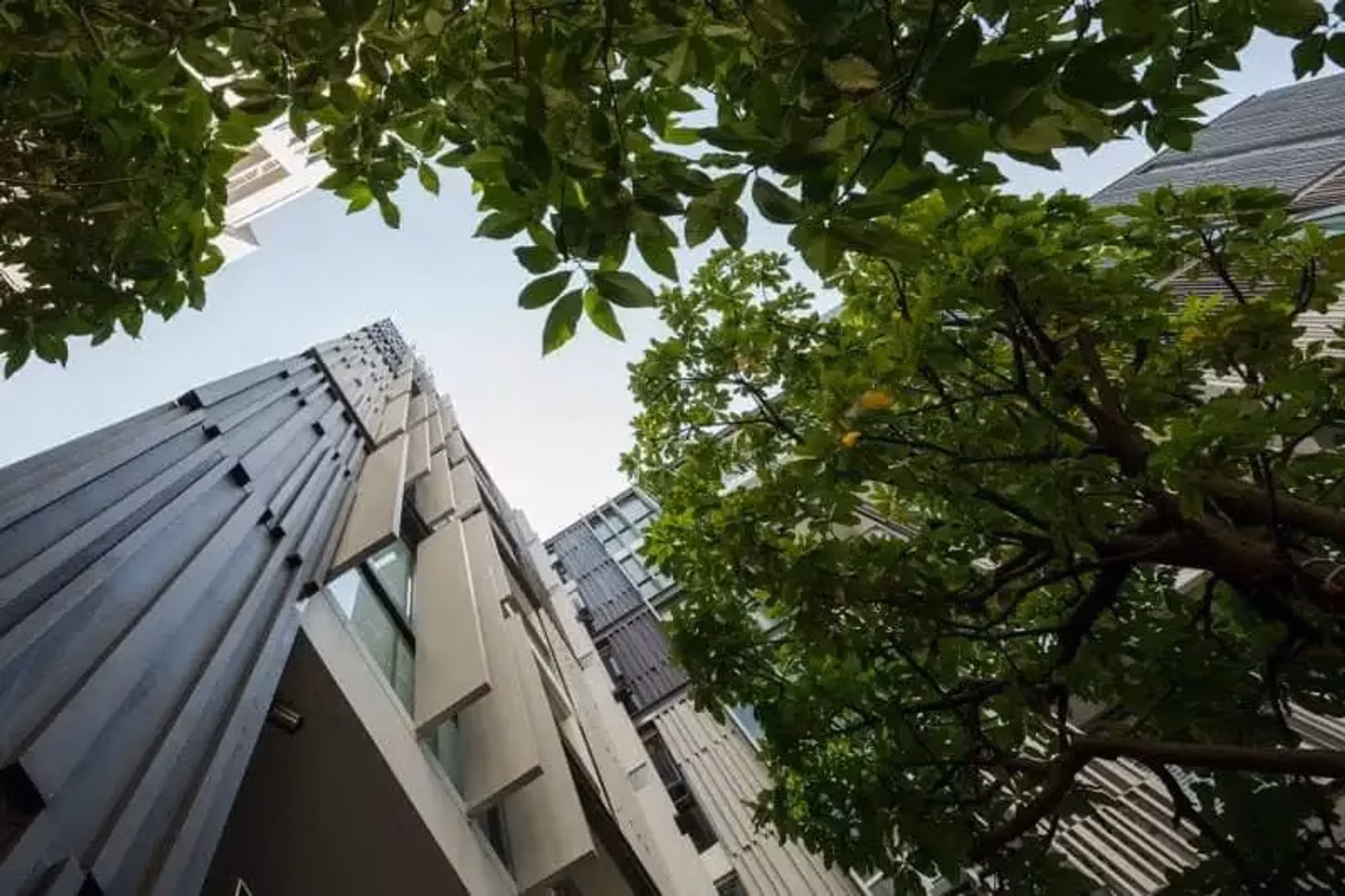 1 Bedroom Condo - Image 1