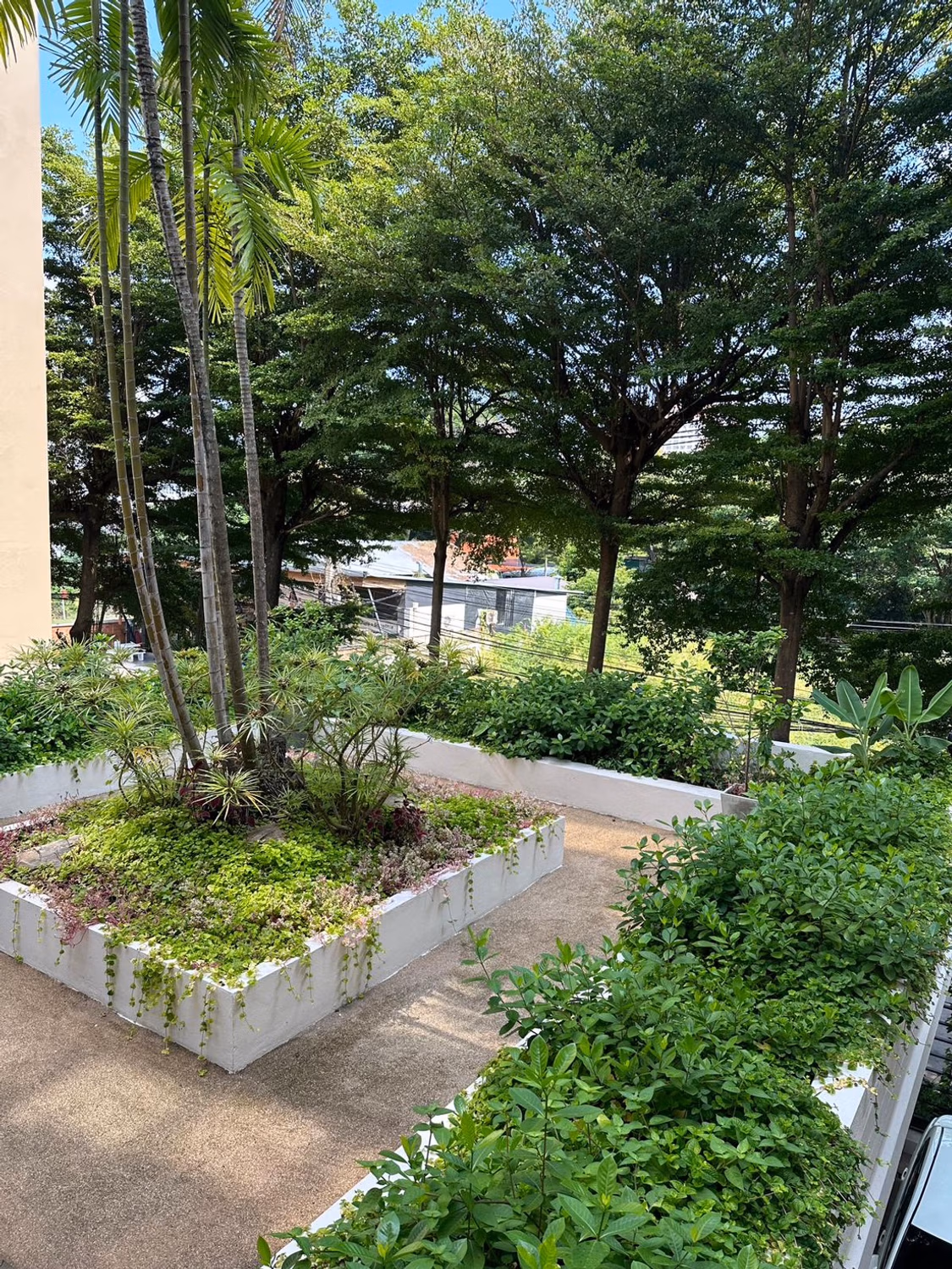 undefined Bed Condo for Rent in Mueang Chiang Mai - Image 12