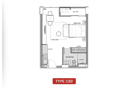 CS2