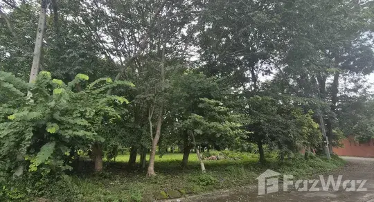 4 Bedroom House - Image 31