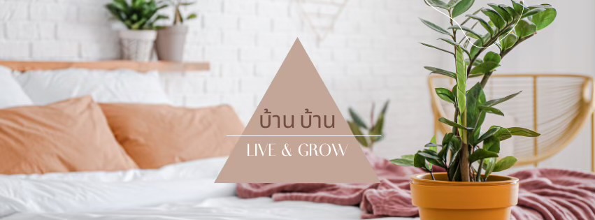 Baan Dee Dee banner