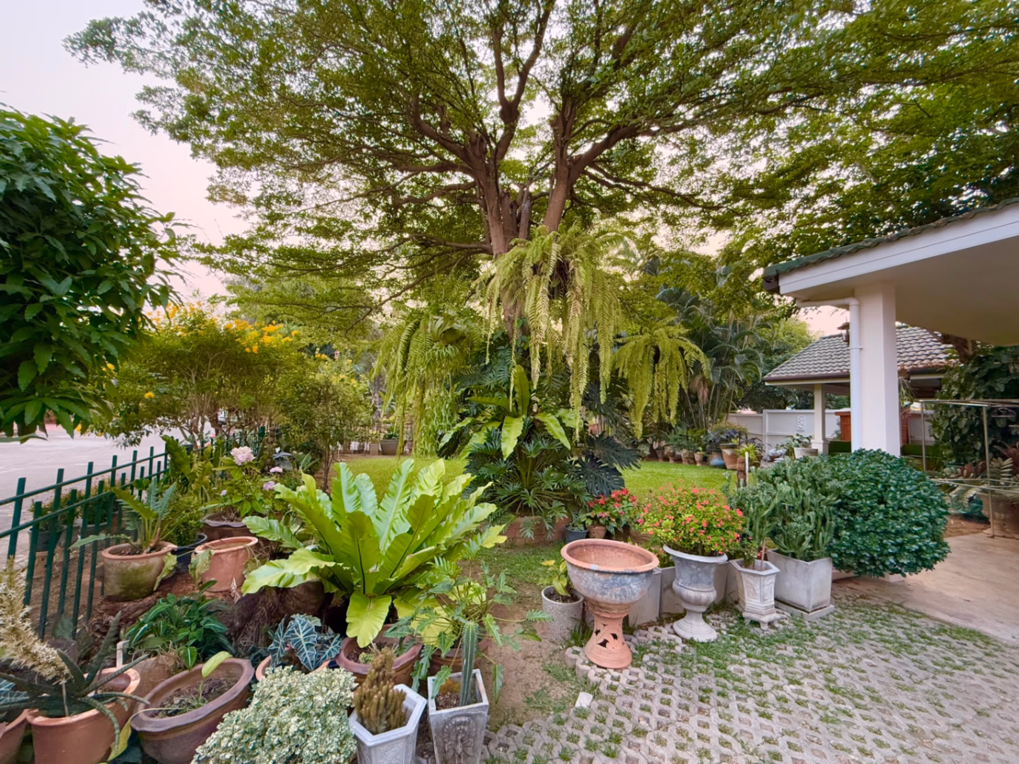 3 Bed House for Rent in Hang Dong - Image 9
