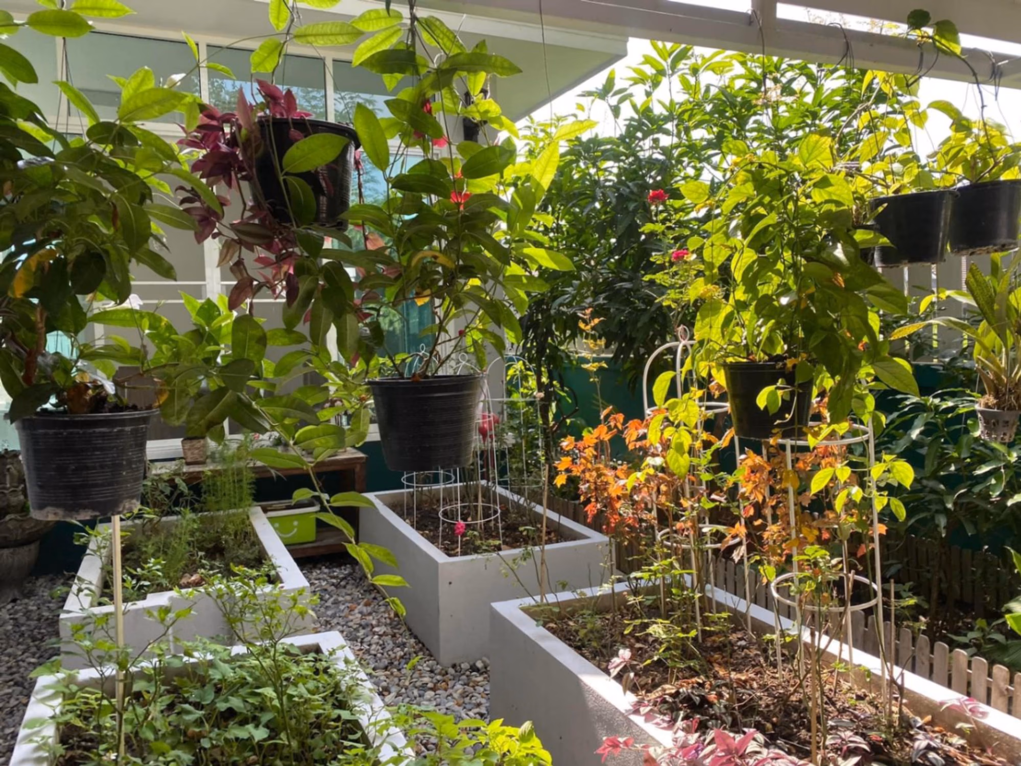3 ห้องนอน บ้าน สำหรับ จำหน่าย ใน San Sai District - Image 6