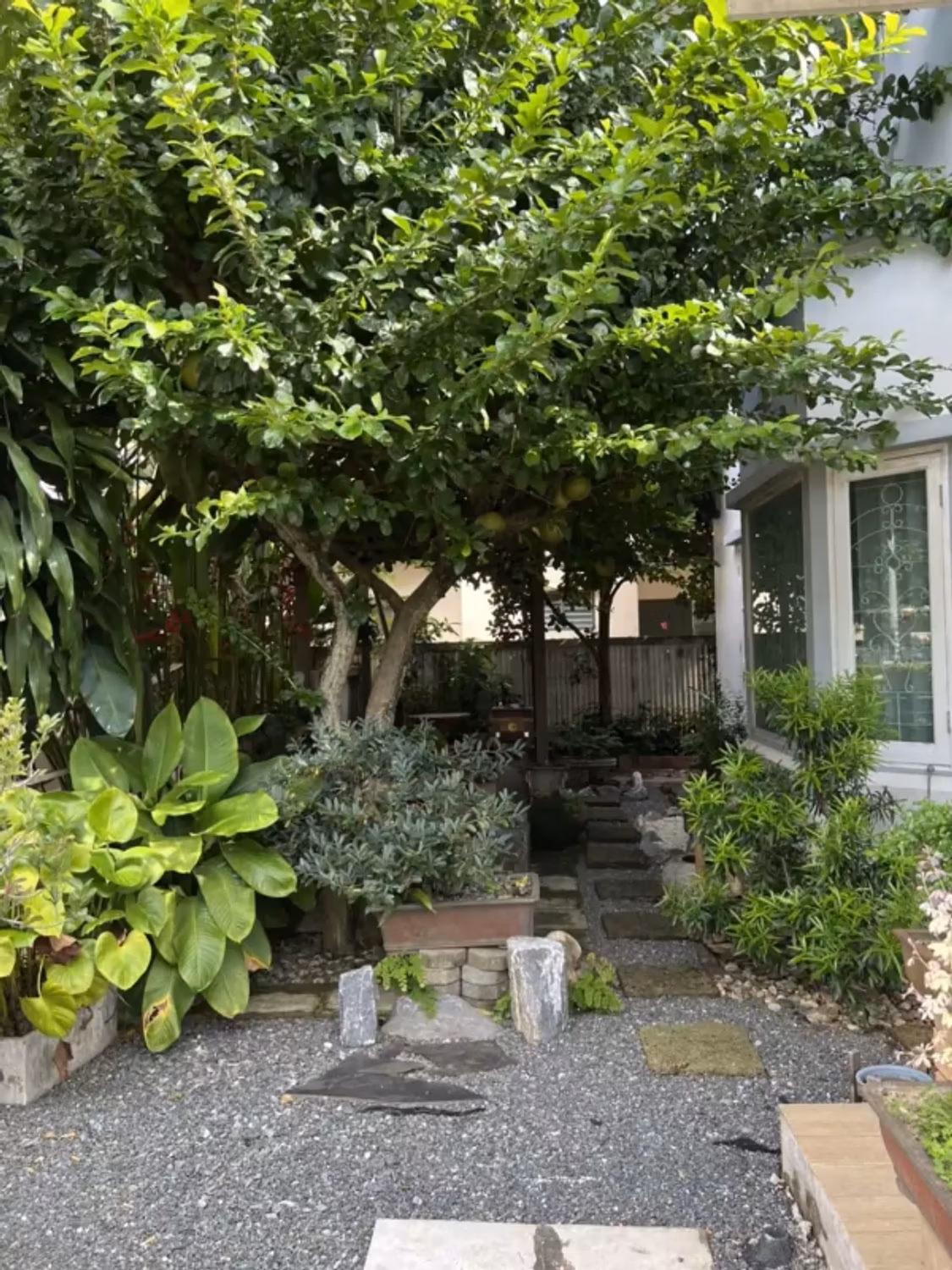 3 Bedroom House - Image 15