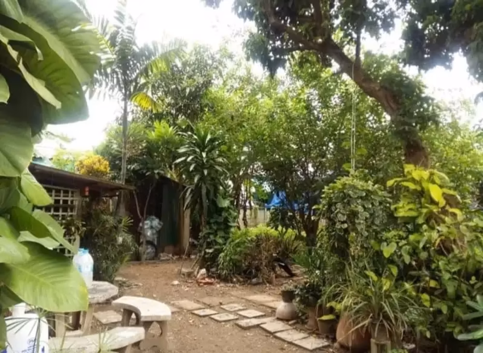 Studio for Sale in  - Image 2