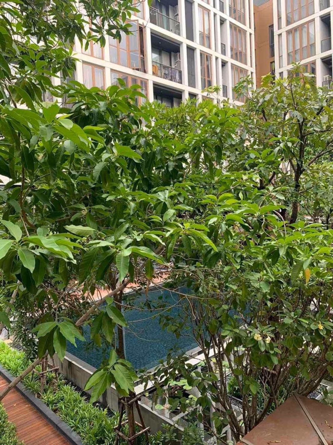 1 ห้องนอน คอนโด สำหรับ ขาย ใน Watthana - Image 8