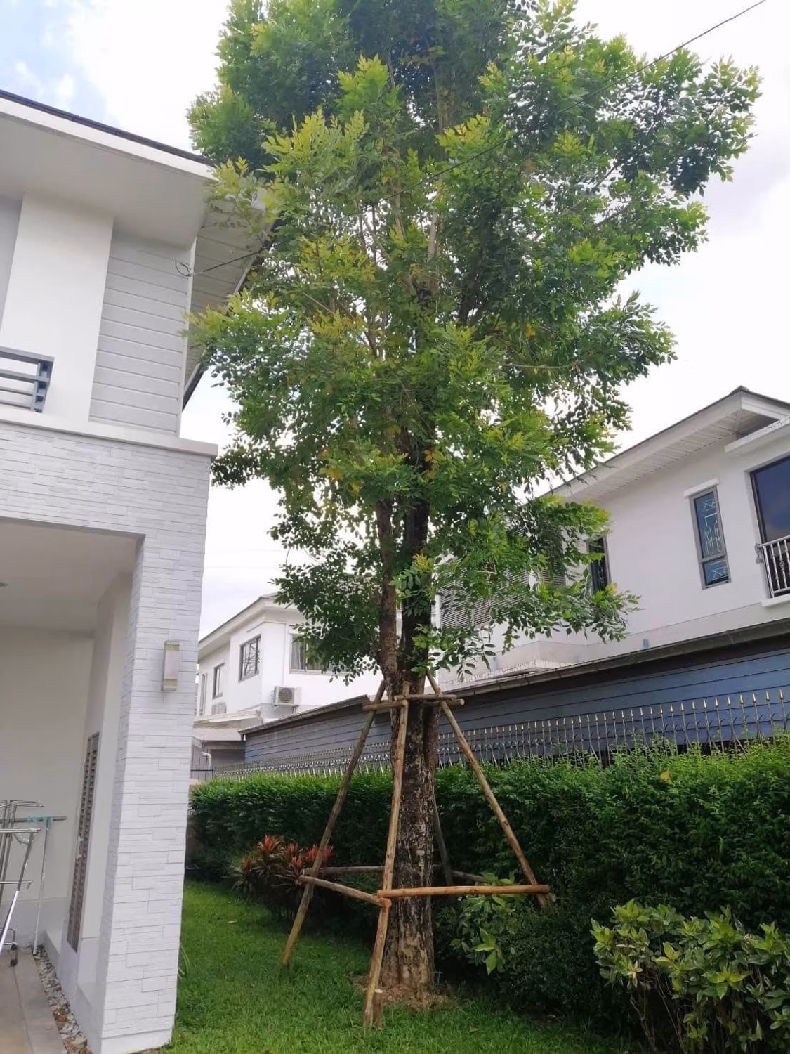House for Sale at  Perfect Masterpeice Rama 9 - Image 30
