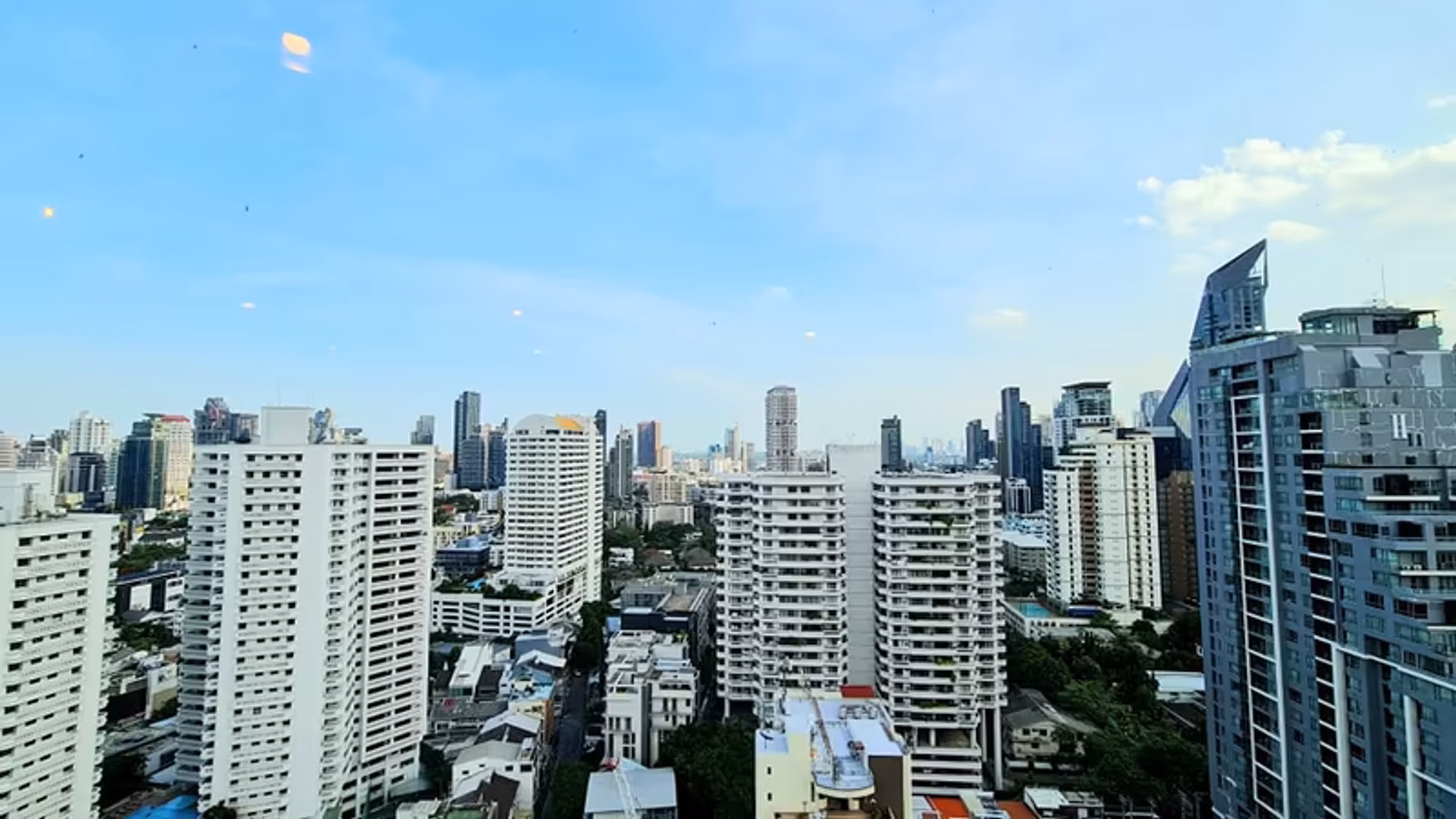 PIYA4817 - Image 7