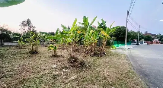 land 用于 出售 在 San Sai - Image 11