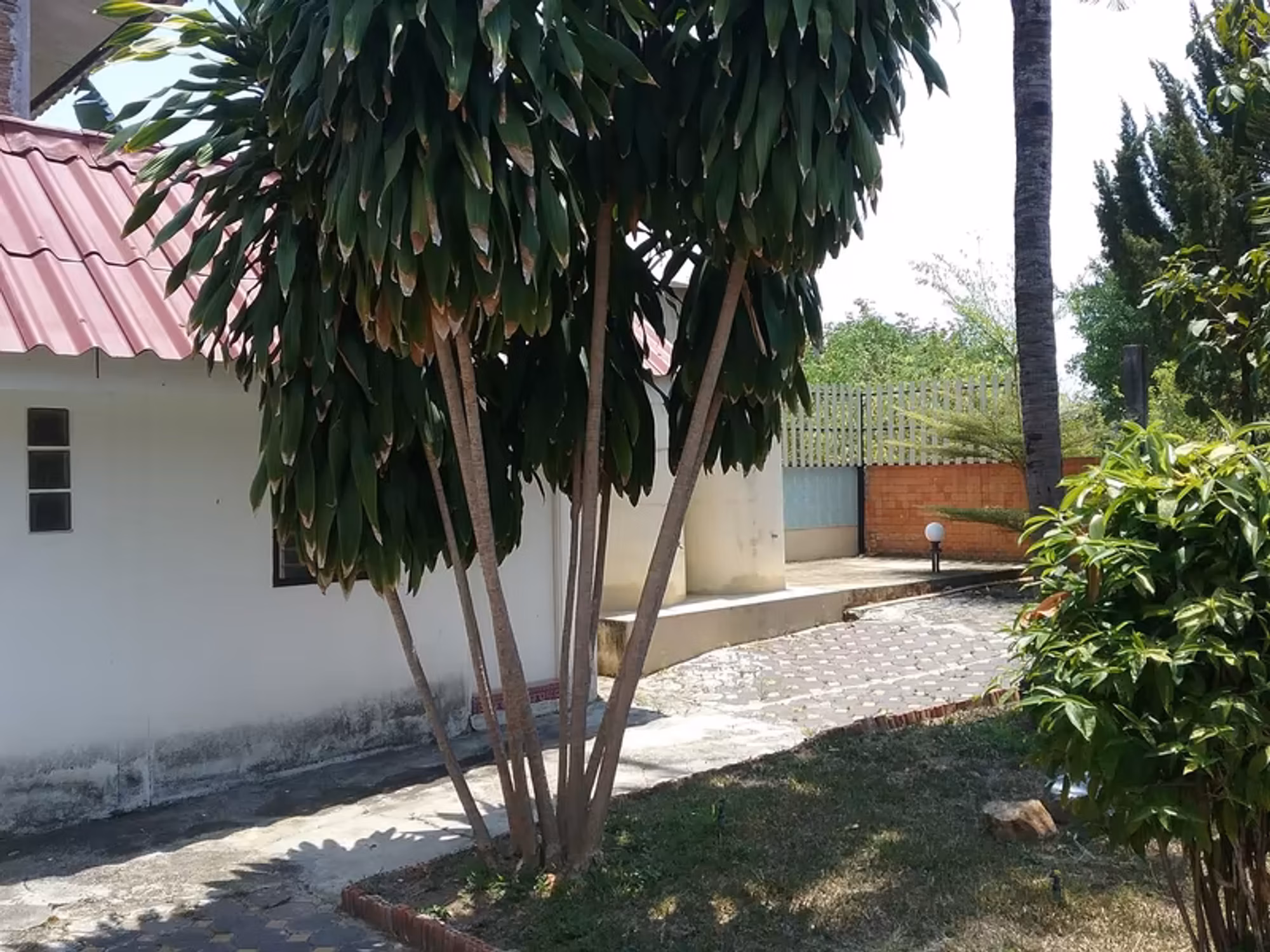 House for Rent in Nong Hoi, Mueang Chiang Mai. - Image 8