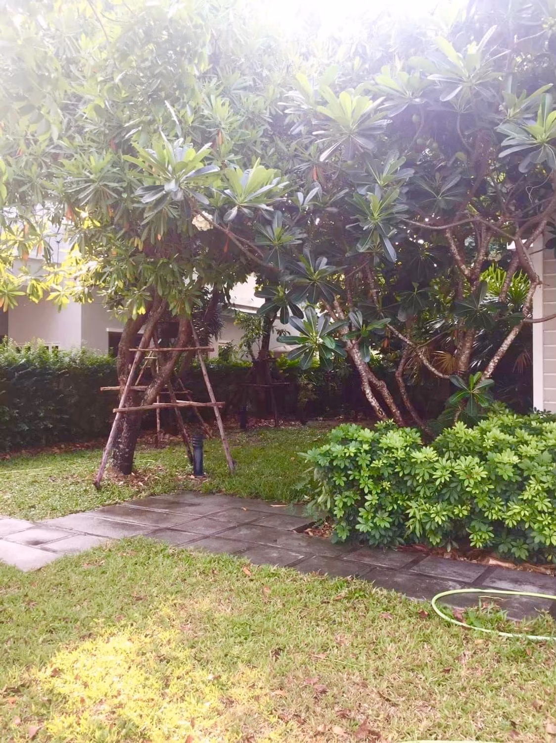 House for Sale at  Perfect Masterpeice Rama 9 - Image 31