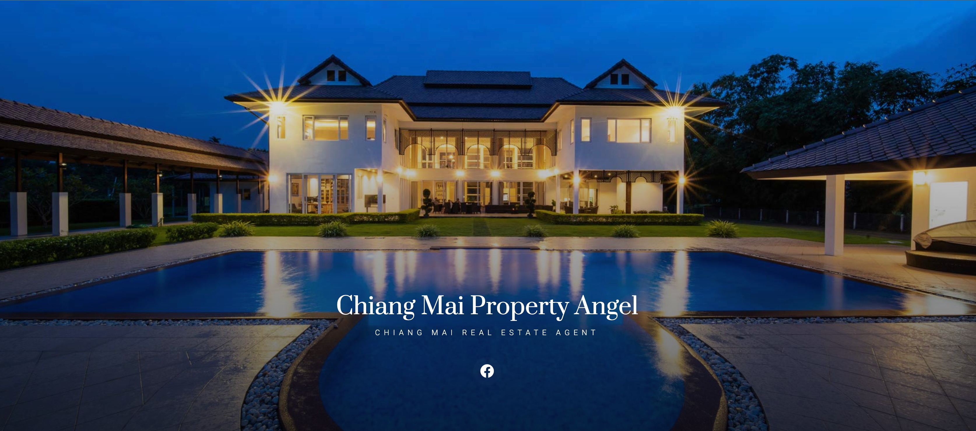Sue Angel banner