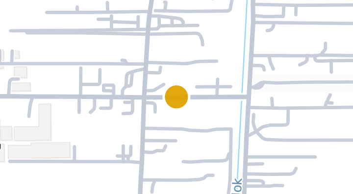 THE TRUST TOWN