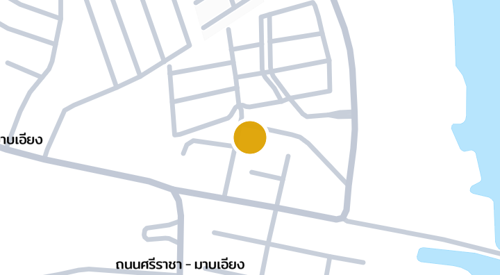Thara Pura