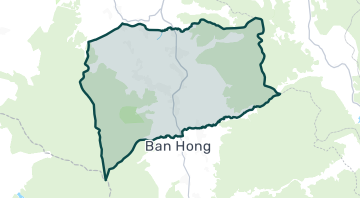 Ban Hong